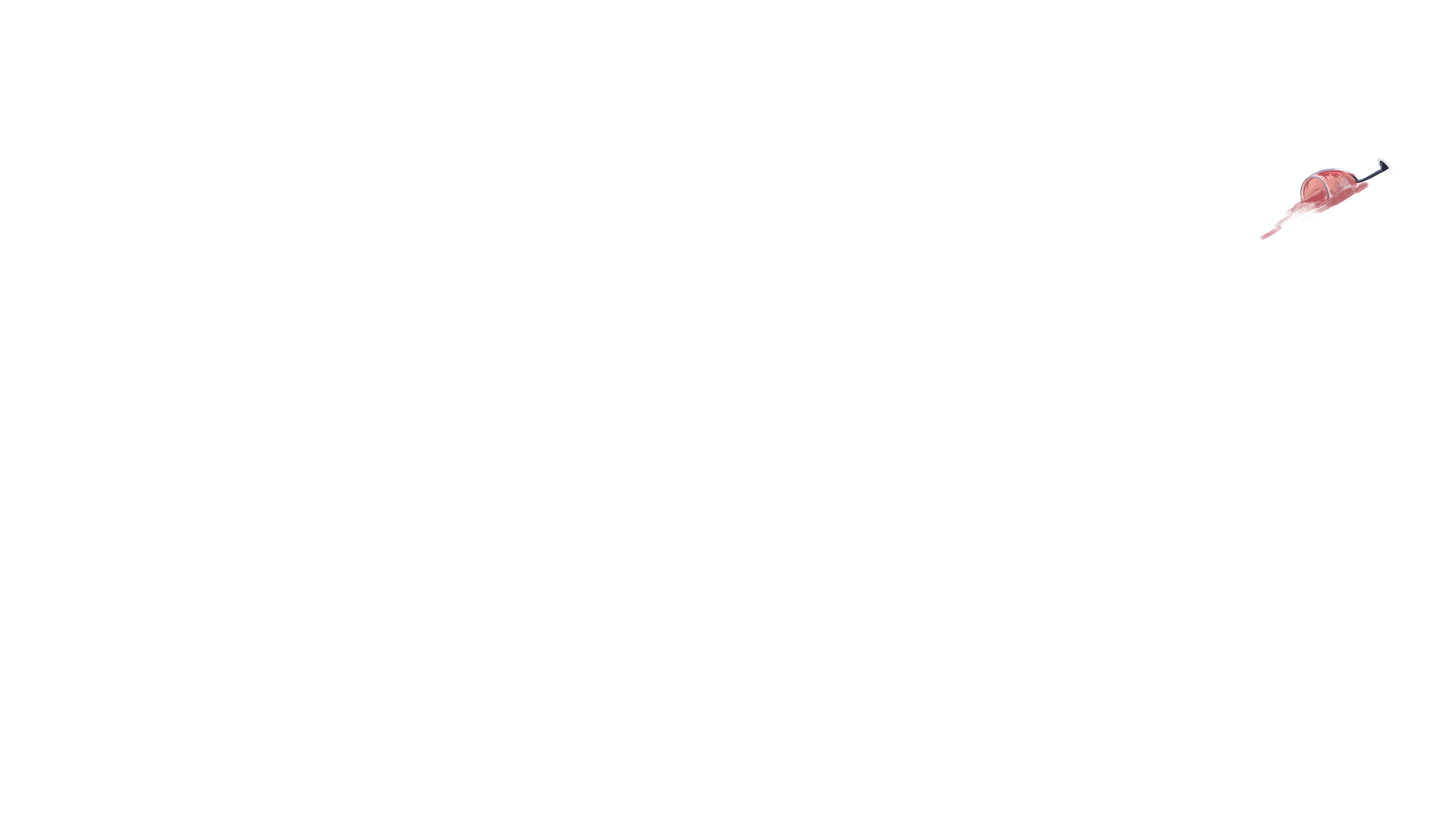 Организация Бар Дель